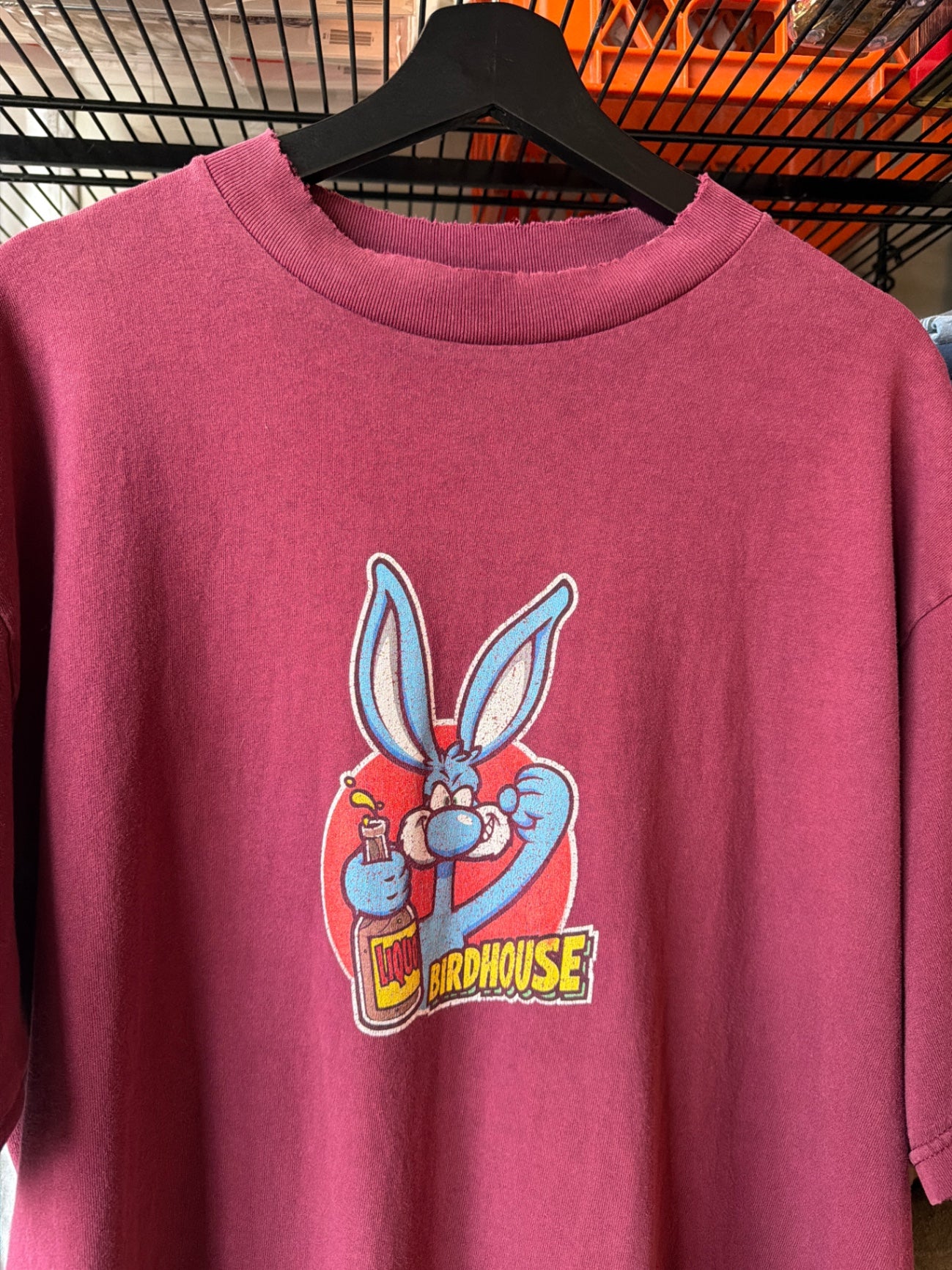 Steve Berra Birdhouse tee