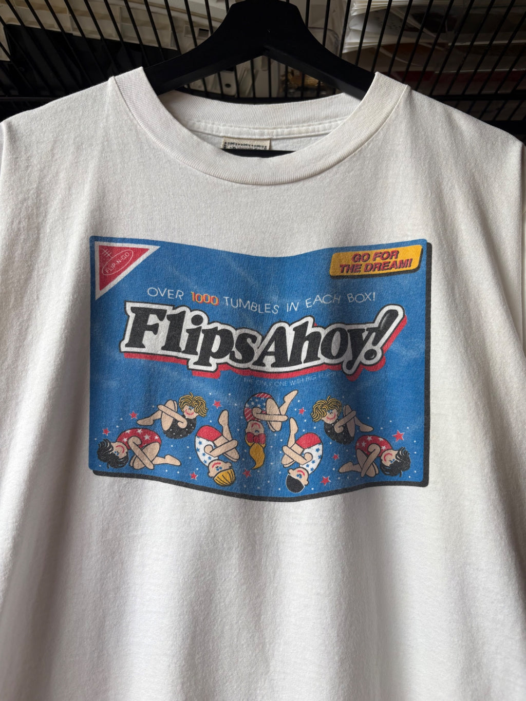 Flips Ahoy Parody
